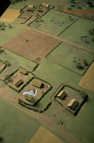 reconstitution d'habitats